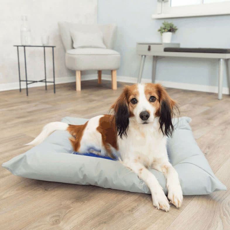 Rashladni jastuk za pse 75x50cm Trixie 28781