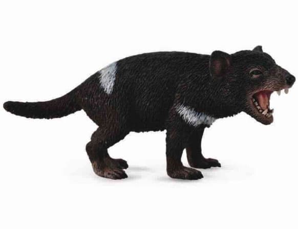 Collecta figura Tasmanijski Ðavo CT88656