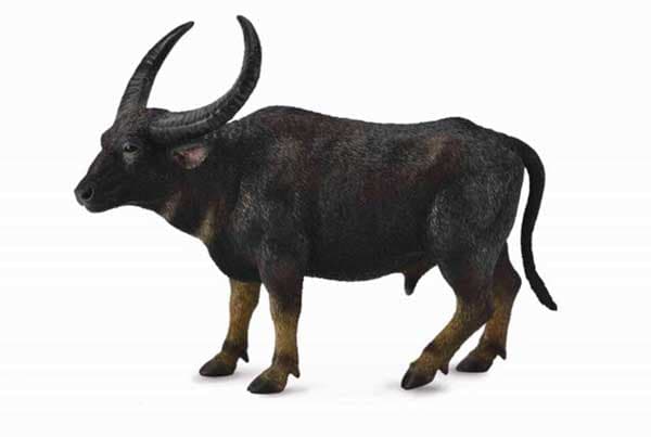 Collecta Figura Wild Water Bufalo CT88657