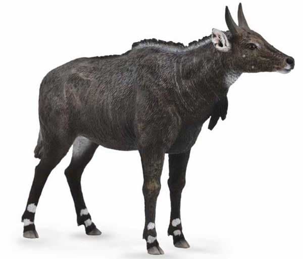 Collecta Figura Nilgai CT88764