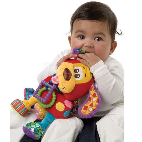 PlayGro kuca poklon set 182809 