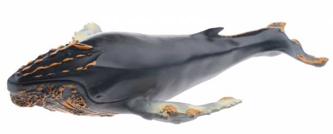 JohnToy Animal World Grbavi Kit 25244