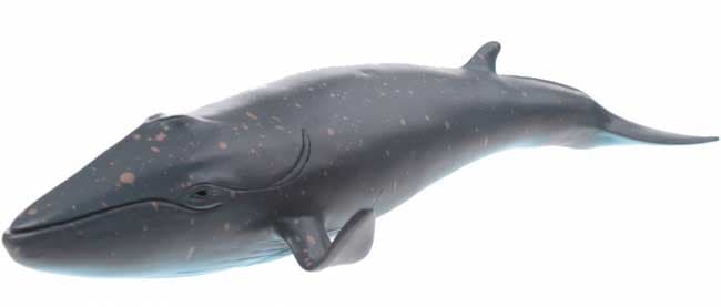 JohnToy Animal World Plavi Kit 25244