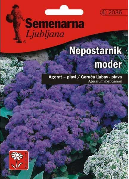 Cveće Goruća Ljubav - plava - Ageratum mexicanum - seme 2036