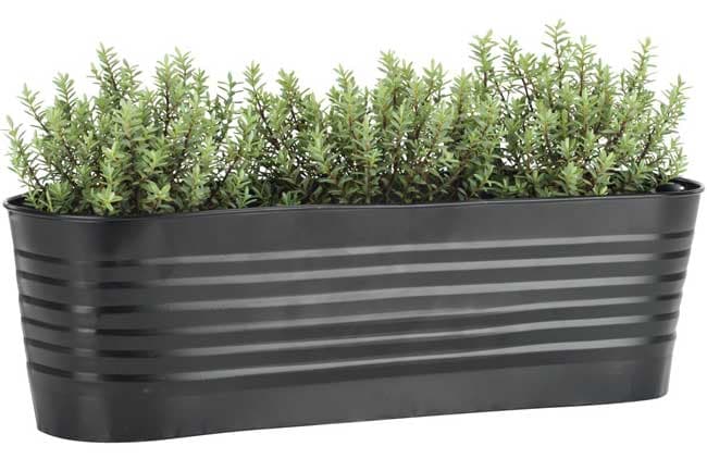 Balkonska saksija Barbara