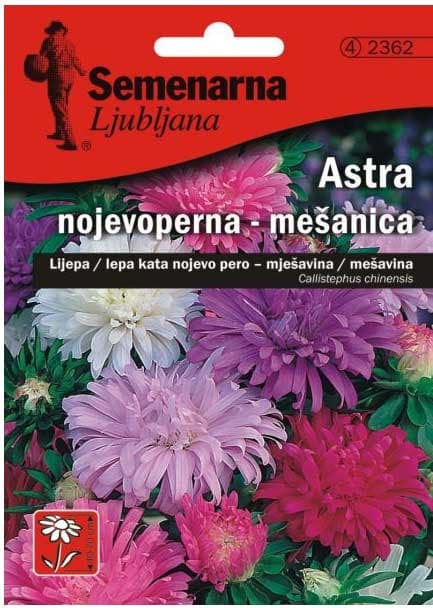 Seme Lepa Kata Nojevo pero - mešavina - Callistephus chinensis 2362