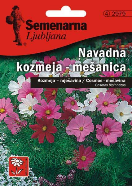 Baštensko cveće Kosmos - mešavina - Cosmos bipinnatus 2979