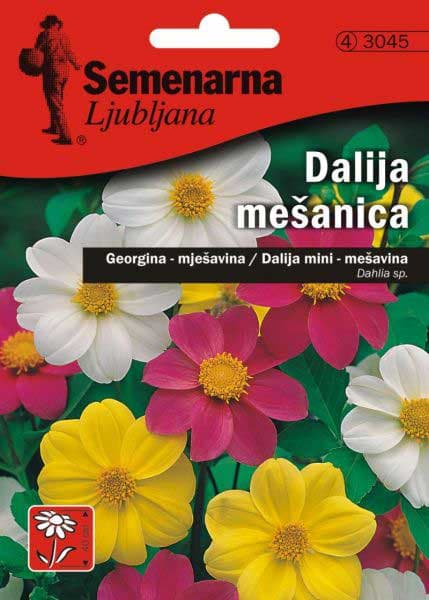 Seme za cveće Dalija - Georgina - mešavina - Dahlia sp. 3045