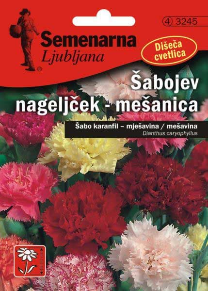Seme za cveće Karanfil  šabo - mešavina - Dianthus caryophyllus 3245