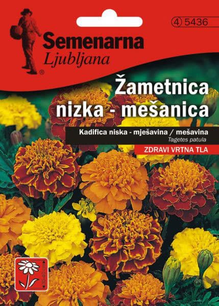 Seme za sadnju - cveće Kadifa niska - mešavina -  Tagetes patula 5436