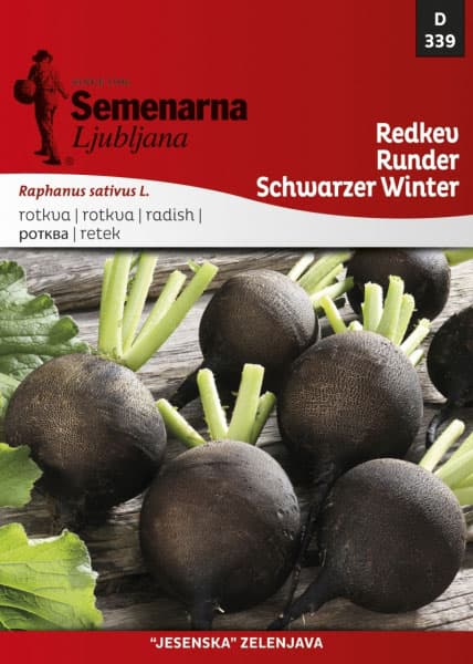 Seme - Rotkva zimska crna -  Raphanus sativus L. 339