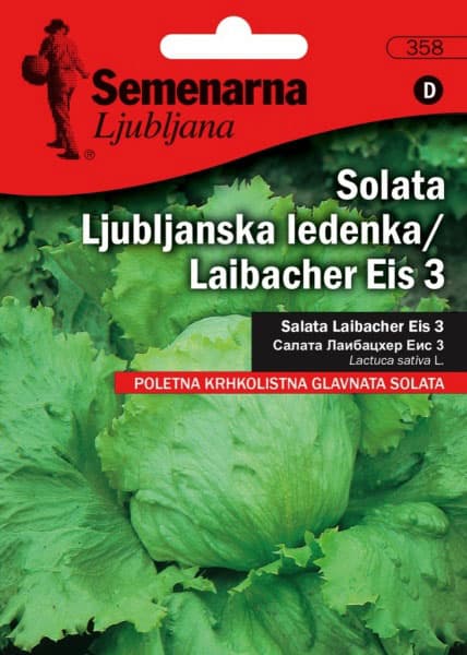 Seme - Zelena salata ljubljanska ledenka -  Lactuca sativa L. 354