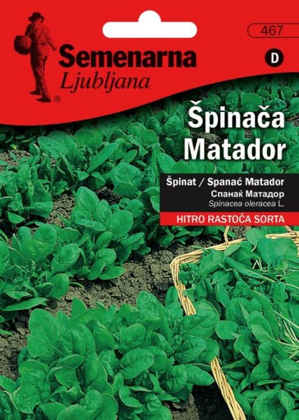 Seme za Spanać matador - Spinacea oleracea L. 50g