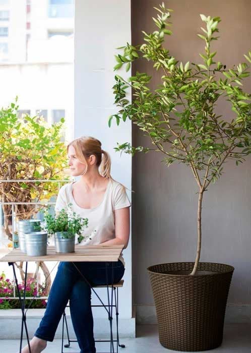 Curver Velika saksija za cveće Conic Planter 56.5L Braon