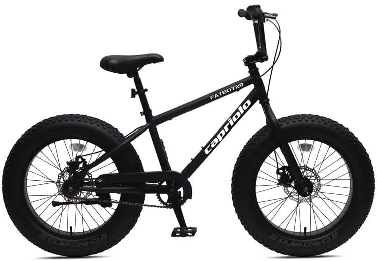 Bicikl Capriolo FatBoy 20 916201-11