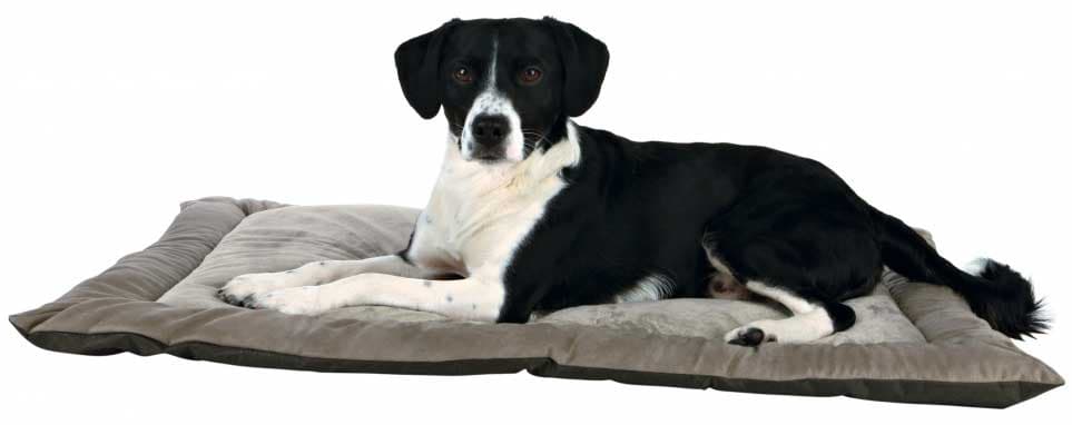 Prostirka za psa King Of Dogs 70cm Trixie 37944