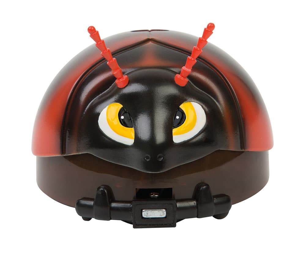 Brze bubice - bubica