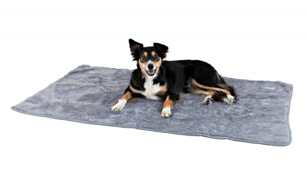 Termo ćebe za pse 70x75cm sivo Trixie 28662