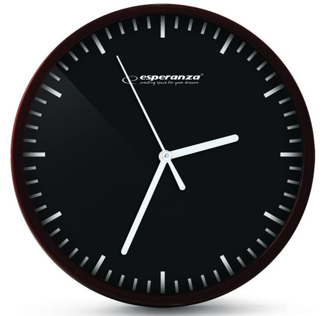 Esperanza Zidni sat EHC010K