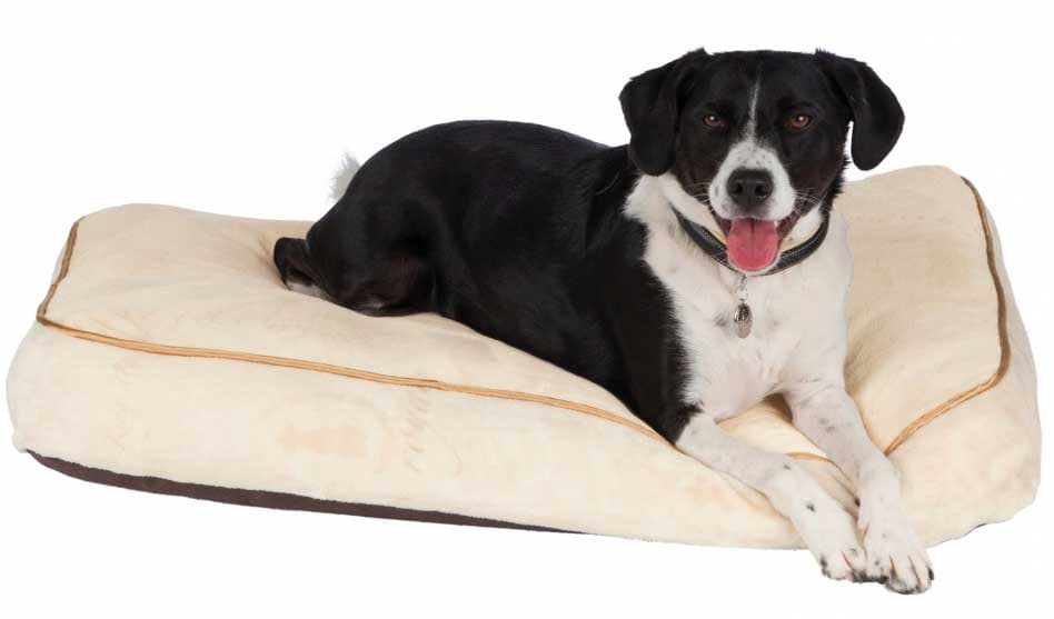 Ležaljka za pse King Of Dogs 70cm Trixie 37981