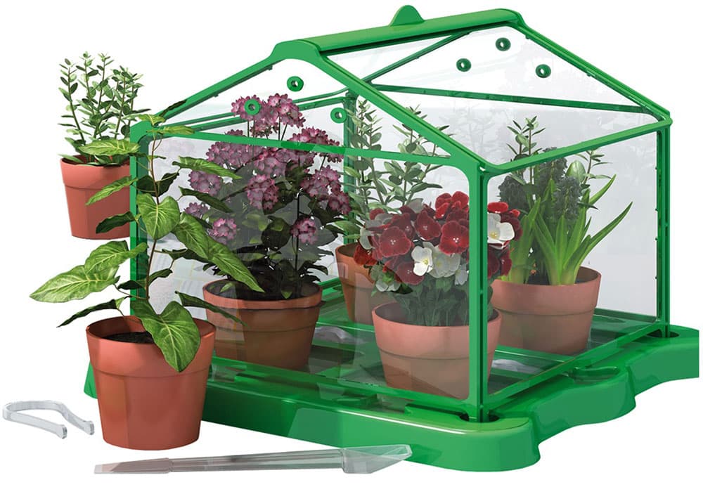 Mali Genije - Edukativna igra - Botanička bašta