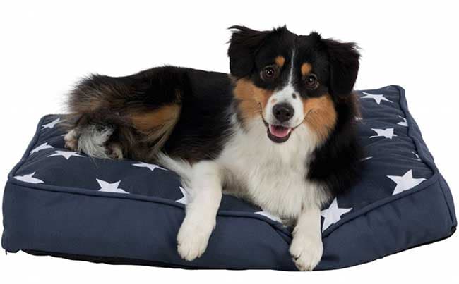 Jastuk za psa Trixie Stars 110x80 36378