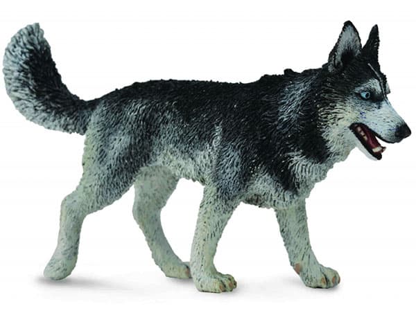 CollectA Figure Domaće životinje - Sibirski haski CT88707