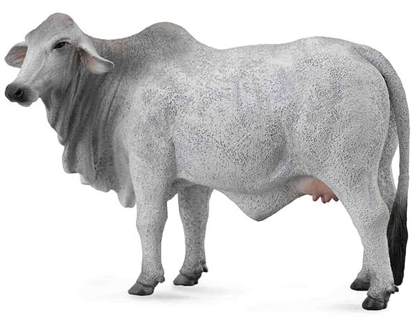 CollectA Figurice Domaće životinje - Bramanska krava CT88580