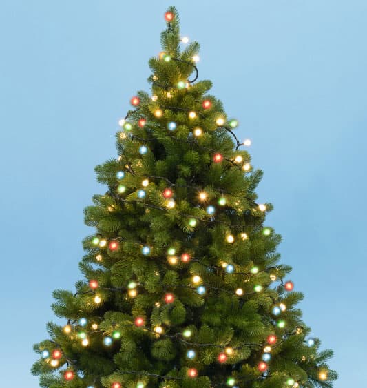 Novogodišnje višebojne lampice za jelku sa 50 LED dioda KII50B/M