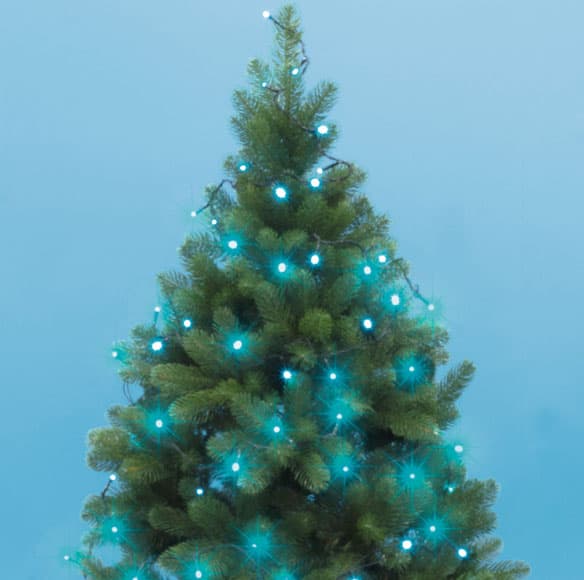 Novogodišnje lampice za jelku 100 tirkiznih LED dioda KII100/T