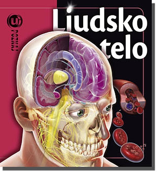 Upoznaj Ljudsko Telo, Linda Kalabrezi