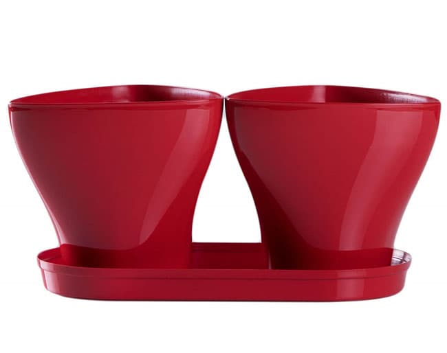 Saksije za cveće sa tacnom Jazz Mix and Play Crvena