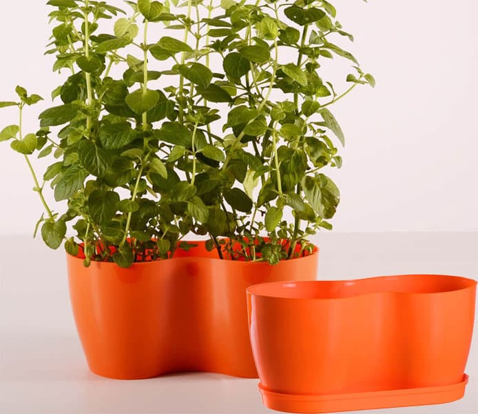 Dupla saksija za cveće Lady Narandžasta 2x12cm