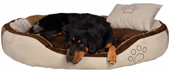 Trixie Krevet za pse Bonzo beige 80cm 37722