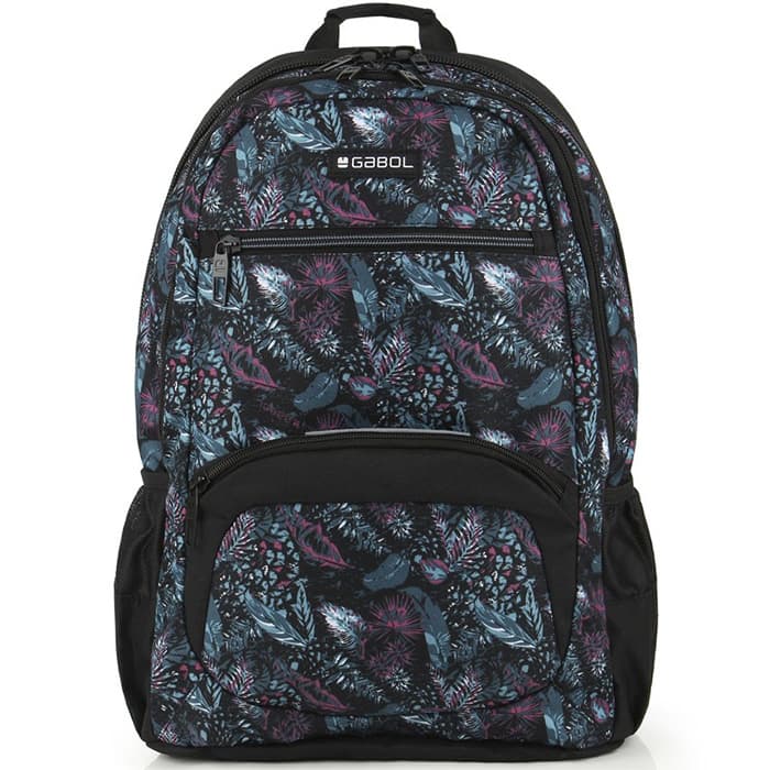 Školski ergonomski ranac Gabol North 310077