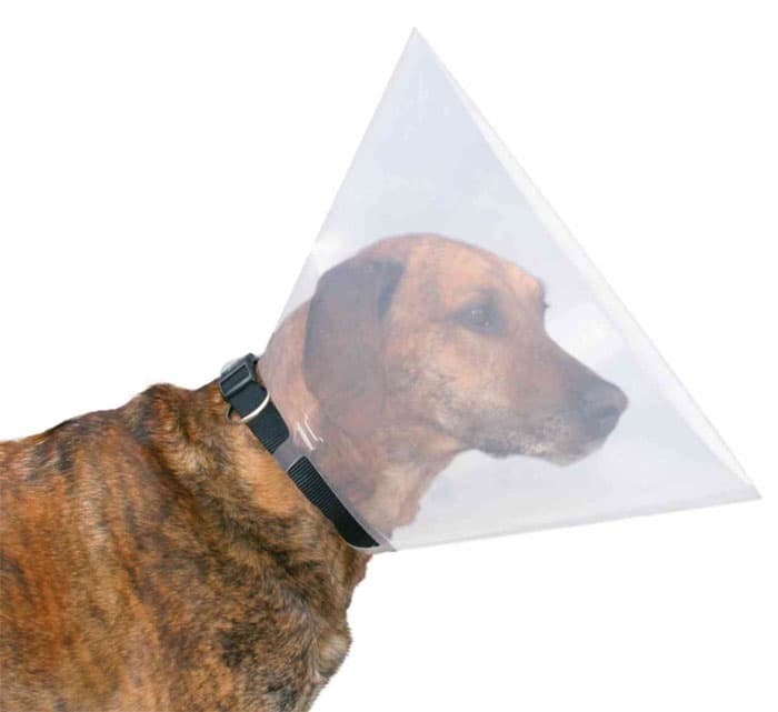 Trixie Zaštitna kragna za pse veličina L 19485