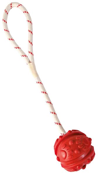 Trixie Igračka za pse za vodu Aport lopta na užetu 33482