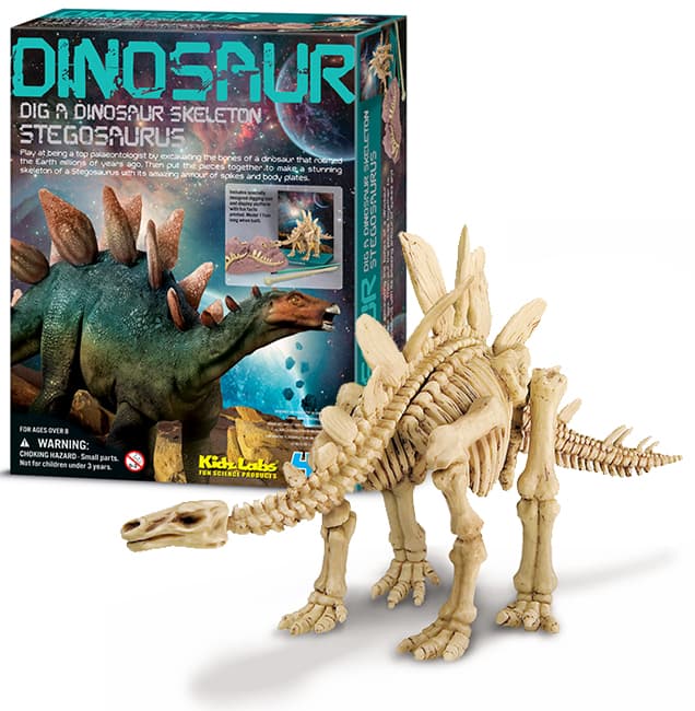 Iskopaj fosil Stegosaurusa 4M 4M03229