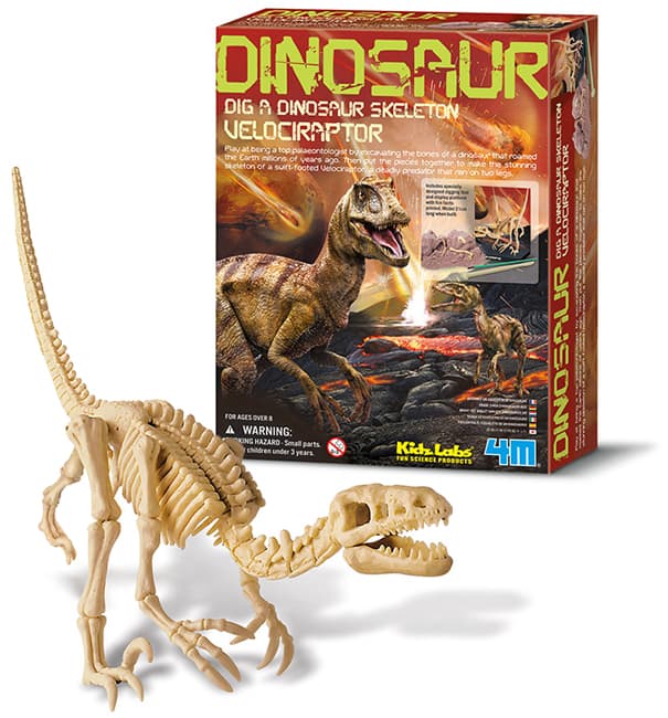 Iskopaj fosil Velociraptor 4M 4M13234