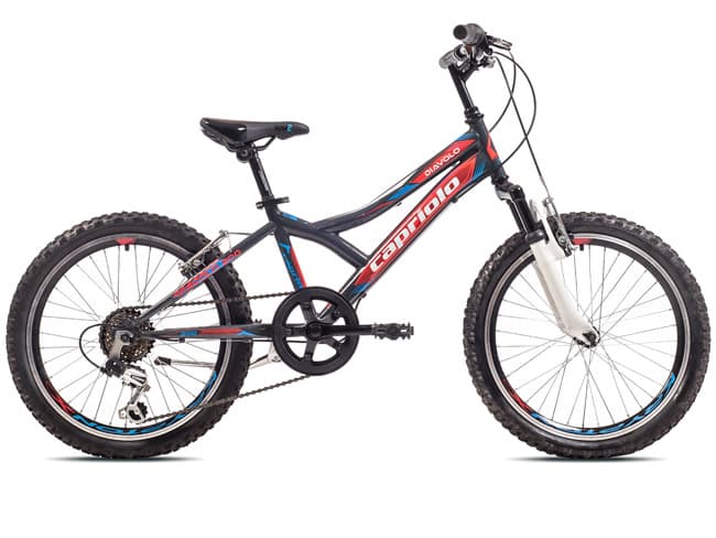 Dečiji bicikl Capriolo Diavolo 200 FS 919295-11