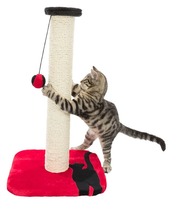 Igračke za mačke Grebalica Mendi Trixie 43329