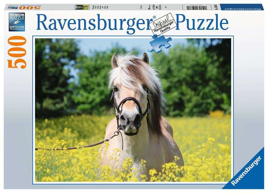 Puzzle 500 delova Konj u polju uljane repice Ravensburger 15038