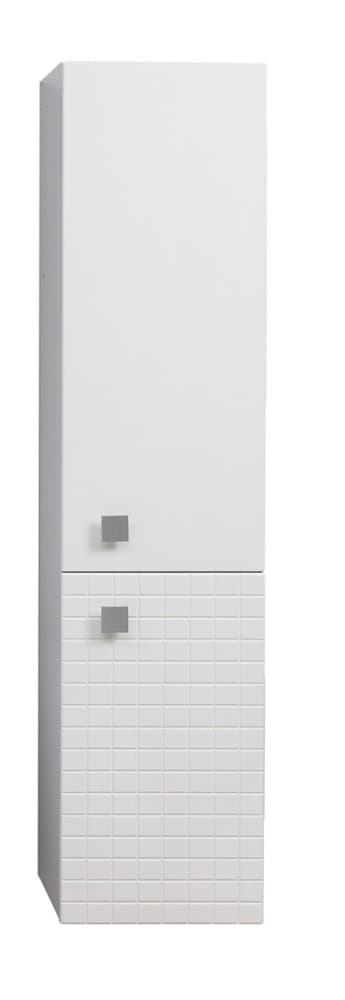 Roper vertikala sa policama Lena 