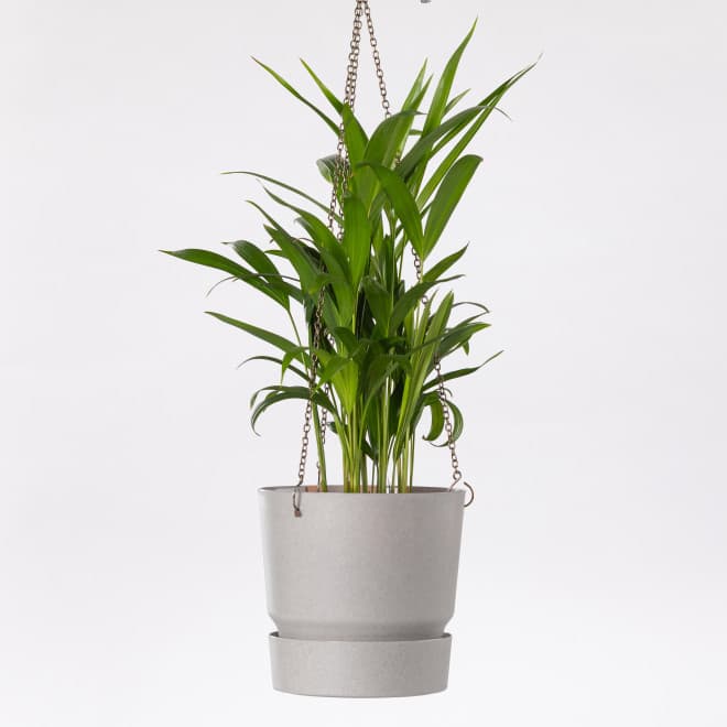 Tara viseća saksija 22cm siva