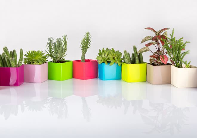 Magnetna saksija Cube 6x6 cm svetlo zelena