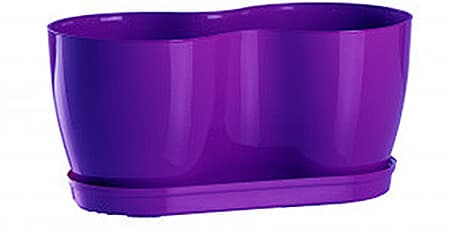 Saksija Herbs 14 cm ljubičasta