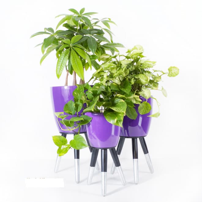 Drveni srebrno-crni stalak sa ljubičastom saksijom 30cm