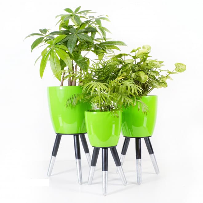 Drveni srebrno-crni stalak sa zelenom saksijom 30cm