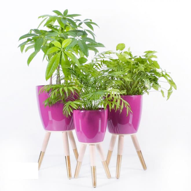 Drveni zlatno-beli stalak sa roze saksijom 30cm