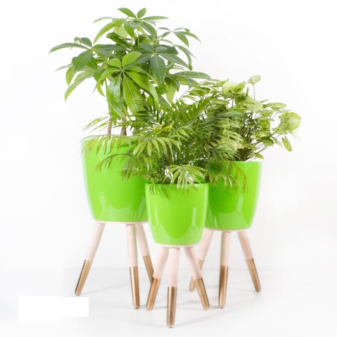 Drveni zlatno-beli stalak sa zelenom saksijom 30cm